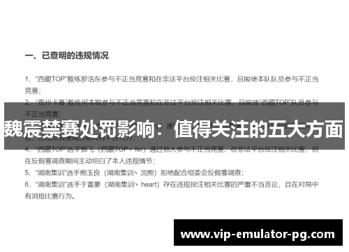 魏震禁赛处罚影响：值得关注的五大方面