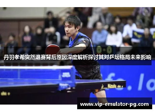丹羽孝希突然退赛背后原因深度解析探讨其对乒坛格局未来影响