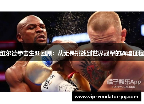 维尔德拳击生涯回顾：从无畏挑战到世界冠军的辉煌征程