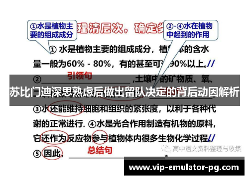 苏比门迪深思熟虑后做出留队决定的背后动因解析