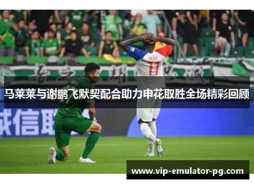 马莱莱与谢鹏飞默契配合助力申花取胜全场精彩回顾 马莱莱与谢鹏飞默契配合助力申花取胜全场精彩回顾