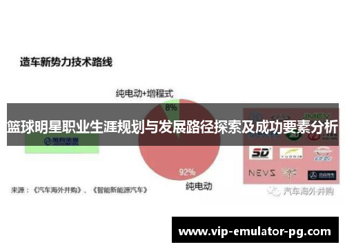 篮球明星职业生涯规划与发展路径探索及成功要素分析
