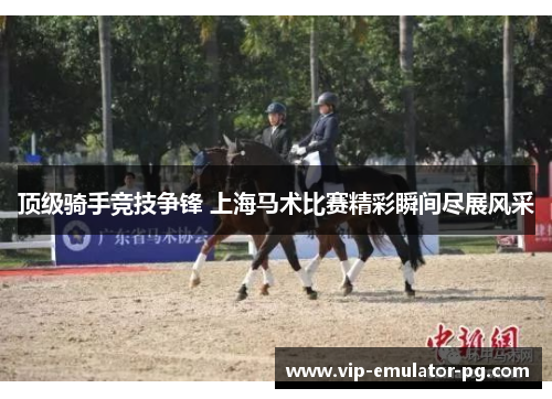 顶级骑手竞技争锋 上海马术比赛精彩瞬间尽展风采